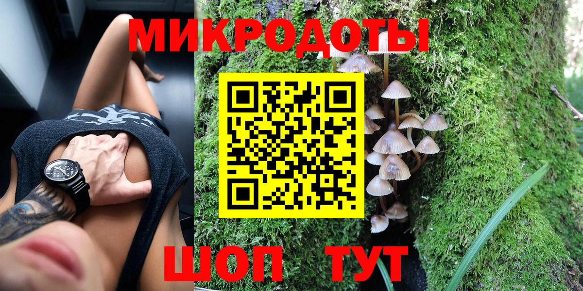 Псилоцибиновые грибы Psilocybine cubensis Мелеуз